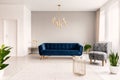 Copy space living room interior with a dark blue couch, a gray armchair and gold accents. Real photo.