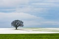 Copy-space of Minimalist winter Landscape Royalty Free Stock Photo