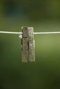 Copy space of old clothespins hanging on abandoned washing or laundry line with bokeh outside. Closeup of spiderwebs