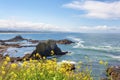 Copy-space Oregon Coastline Landscape Royalty Free Stock Photo