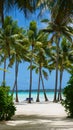 COPY SPACE: Scenic shot of an empty path leading to the beautiful sandy beach. Royalty Free Stock Photo