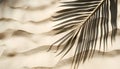 Copy space of shadow palm leaf on sand beach texture background Royalty Free Stock Photo