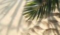 Copy space of shadow palm leaf on sand beach texture background Royalty Free Stock Photo