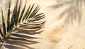 Copy space of shadow palm leaf on sand beach texture background Royalty Free Stock Photo