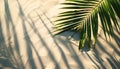 Copy space of shadow palm leaf on sand beach texture background Royalty Free Stock Photo