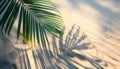 Copy space of shadow palm leaf on sand beach texture background Royalty Free Stock Photo