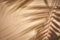 Copy space of shadow palm leaf on sand beach texture background. Royalty Free Stock Photo