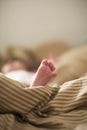 Copy space shot of a cute newborn baby foot on a brown beige blanket in bed with a bokeh blurred background Royalty Free Stock Photo