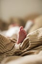 Copy space shot of a cute newborn baby foot on a brown beige blanket in bed with a bokeh blurred background Royalty Free Stock Photo