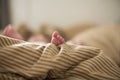 Copy space shot of a cute newborn baby foot on a brown beige blanket in bed with a bokeh blurred background Royalty Free Stock Photo