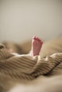 Copy space shot of a cute newborn baby foot on a brown beige blanket in bed with a bokeh blurred background Royalty Free Stock Photo