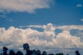 silhouette tropical palm tree with sun light on sunset sky and cloud abstract background Royalty Free Stock Photo