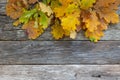 Copy space. Space for text. Autumn background of oak leaves on the wooden board, top view. Copy space. Space for text Royalty Free Stock Photo