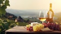 copy space, stockphoto, Grape wine in glass , Bunch of grapes on the table and cheese. Vineyard in the background. Royalty Free Stock Photo