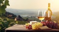 copy space, stockphoto, Grape wine in glass , Bunch of grapes on the table and cheese. Vineyard in the background Royalty Free Stock Photo
