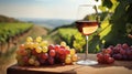 copy space, stockphoto, Grape wine in glass , Bunch of grapes on the table and cheese. Vineyard in the background. Royalty Free Stock Photo