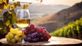 copy space, stockphoto, Grape wine in glass , Bunch of grapes on the table and cheese. Vineyard in the background Royalty Free Stock Photo