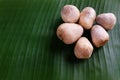 Copy space straw mushroom isolated on green banana leaf background Royalty Free Stock Photo