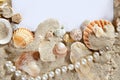 Copy space summer sand beach shells pearl blank Royalty Free Stock Photo