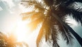 Copy space of tropical palm tree with sun light on sky background. Generative AI Royalty Free Stock Photo