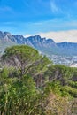 Copy space with the Twelve Apostles at Table Mountain in Cape Town against a blue sky background. Amazing view of plants Royalty Free Stock Photo