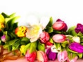 Tulip flowers on pink background Happy wishes greetings text tulip colorful festive bouquet floral women day Happy Valentine Royalty Free Stock Photo