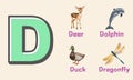 Alphabet Letter D in Pictures