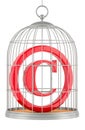 Copyright inside bird cage, 3D rendering Royalty Free Stock Photo