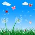 Copyspace Butterflies Indicates Flora Flower And Blank