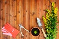 Copyspace frame with gardening tools and objects on old wooden background Royalty Free Stock Photo