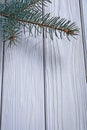 Copyspace image branch of pinetree on old white painted wooden b