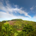 Copyspace and landscape of the mountain slope with green pasture and narrow passages below a cloudy sky. Inclining side