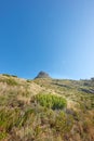 Copyspace with scenic landscape of Lions Head mountain in Cape Town South Africa against a clear blue sky background Royalty Free Stock Photo