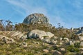 Copyspace and scenic landscape of Lions Head mountain in Cape Town, South Africa during summer holiday and vacation Royalty Free Stock Photo