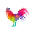 Colorful Cock vector colorful illustration digital art print shirt design