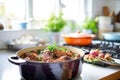 coq au vin in a dutch oven, bright kitchen lighting