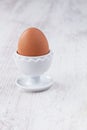 Coque egg for breakfast Royalty Free Stock Photo
