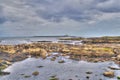 Coquet Island, Northumberland RSPB Reserve Royalty Free Stock Photo