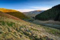 Coquetdale Valley at Carshope from Hindside Knowe Royalty Free Stock Photo