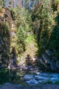 Coquihalla river Idyllic landscape with green forest in British Columbia Canada Royalty Free Stock Photo