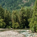 Coquihalla river Idyllic landscape with green forest in British Columbia Canada. Royalty Free Stock Photo