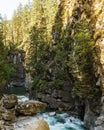 Coquihalla river Idyllic landscape with green forest in British Columbia Canada Royalty Free Stock Photo