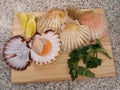 Coquilles Saint-Jacques Royalty Free Stock Photo