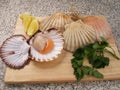 Coquilles Saint-Jacques