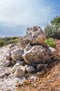 Coquina stones on natural background.