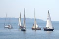 Cor Caroli regata sailing yachts