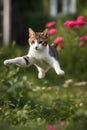 corageous cat jumping outdoors illustration Royalty Free Stock Photo