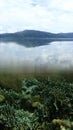 Mid air mid water photo on the reef and the island with forest behind Royalty Free Stock Photo