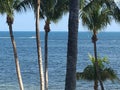 Atlantic Ocean side of Key West Florida Beach lined with Palm trees Royalty Free Stock Photo