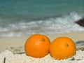 Coral Beach Oranges Sulu Sea SE Asia Royalty Free Stock Photo